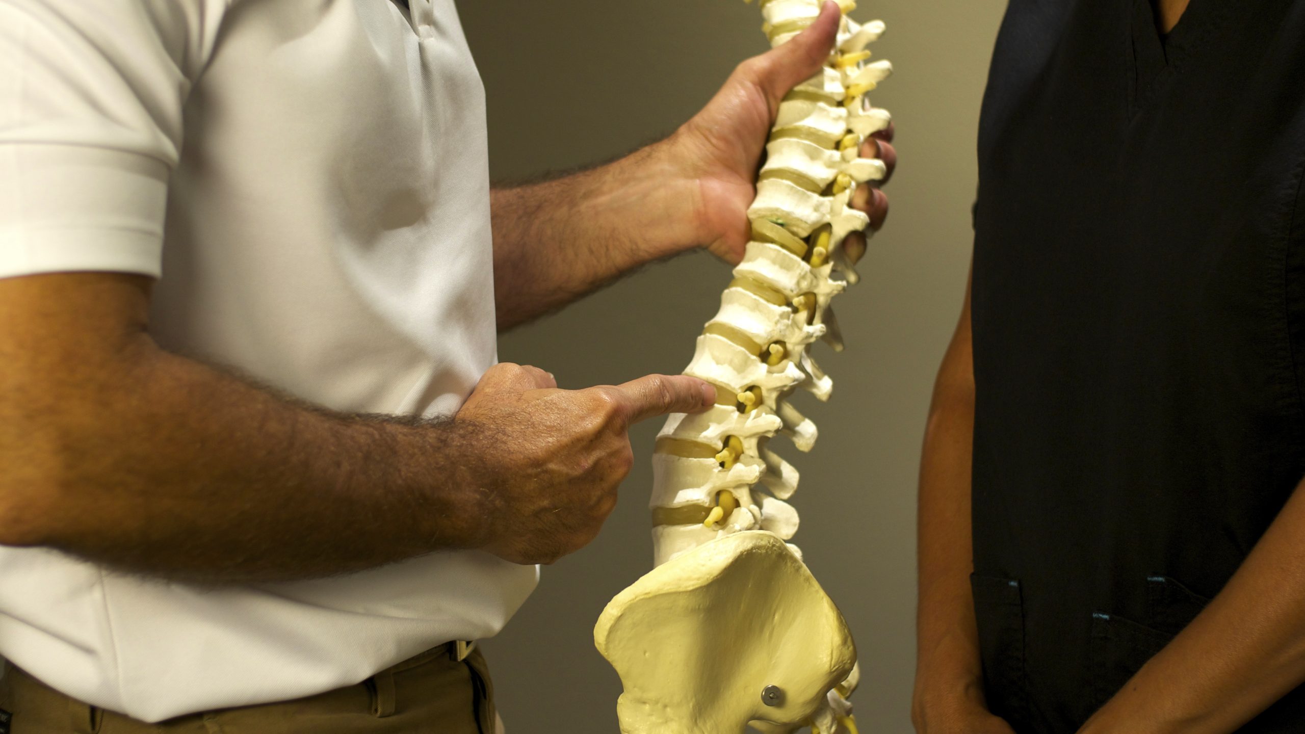 Chiropractor in Sebring, FL